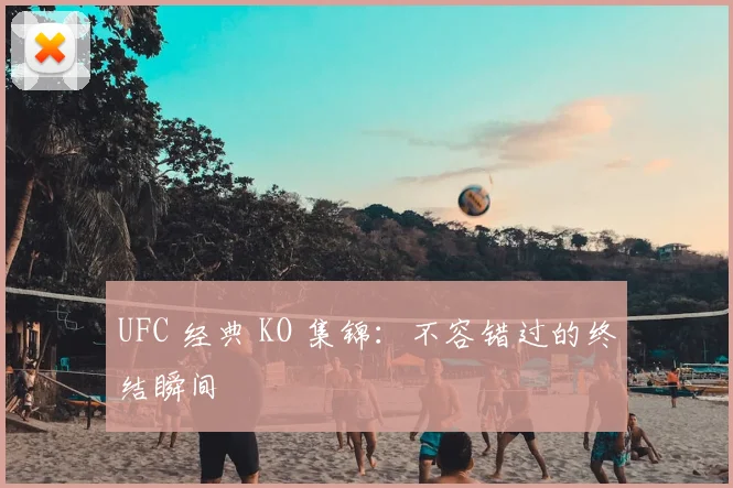 UFC 经典 KO 集锦:不容错过的终结瞬间