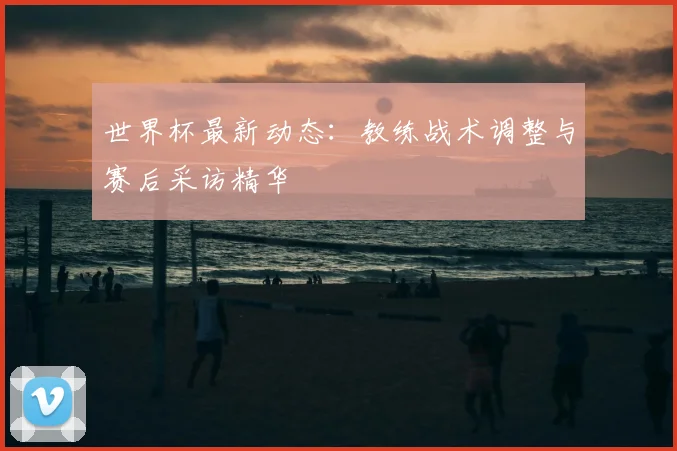 世界杯最新动态：教练战术调整与赛后采访精华