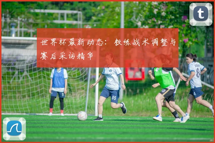 世界杯最新动态：教练战术调整与赛后采访精华
