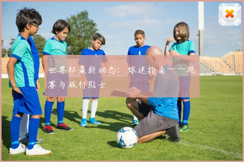 世界杯最新动态:球迷指南——观赛与旅行贴士