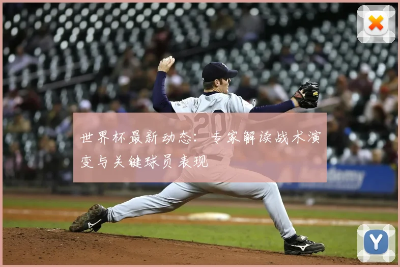 世界杯最新动态:专家解读战术演变与关键球员表现