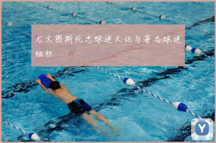 尤文图斯死忠球迷文化与著名球迷组织